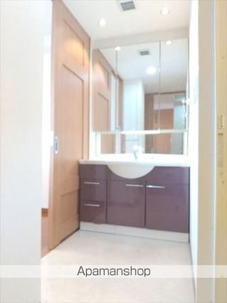 和歌山県和歌山市伝法橋南ノ丁[2LDK/61.98m2]の洗面所