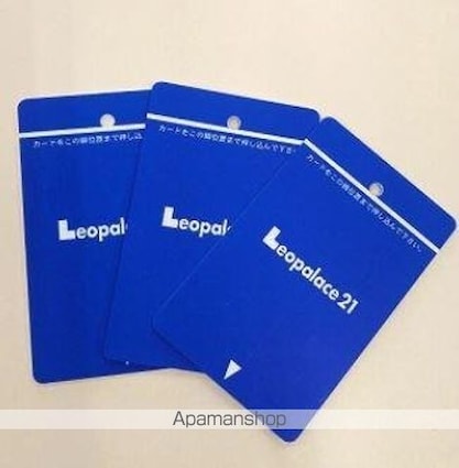 レオネクストクラインガルテン[1K/28.02m2]の内装