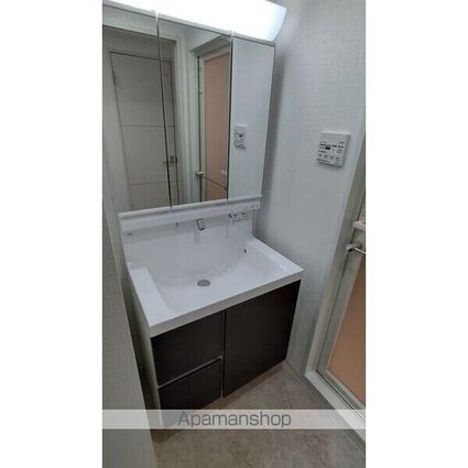 ＬＡＰＩＳ　ＴＷＯＬＥＳ[1K/28.3m2]の洗面所