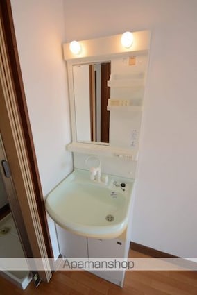 ヴィラ・シティ　ハナナカ[2K/39m2]の洗面所