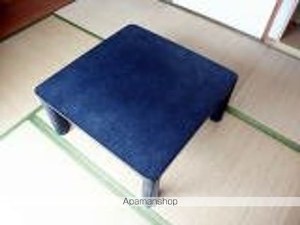 ヴィラフリーデ平和通[1R/25.5m2]のその他内装2