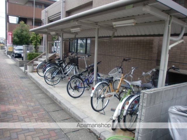 セルフィ・Tのその他写真