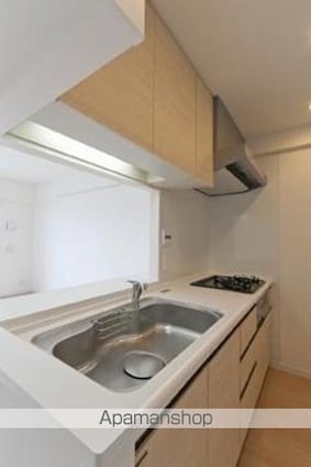 フェールメゾン西大島[2LDK/58.62m2]のキッチン