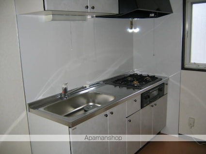 フレグランスメンフィス[2LDK/51.54m2]のキッチン