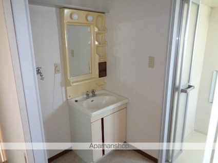 ムーンリバー[2K/33.48m2]の洗面所