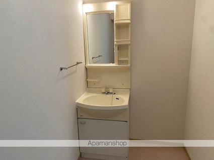 セジュール新横江[2DK/55.2m2]の洗面所