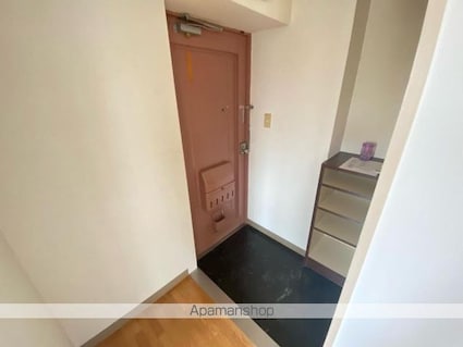 番町田村館[1R/18.78m2]の玄関