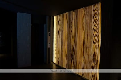 パークハビオ中目黒[1K/25.1m2]の共用部9