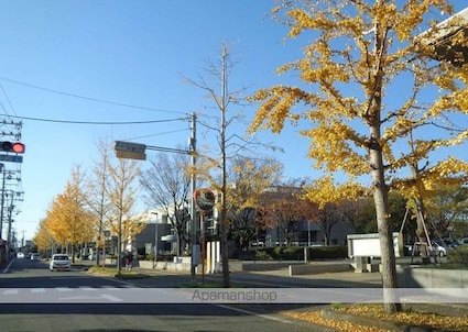 和歌山県和歌山市西高松１丁目[1R/20m2]の周辺1