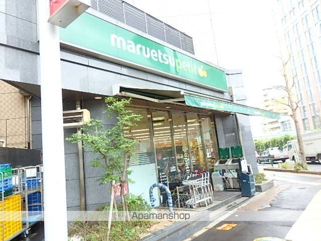 レジディア文京音羽Ⅱ[1R/22.67m2]の共用部5