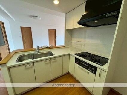 ロイヤルガーデン太田中央公園[4LDK/90.75m2]のキッチン