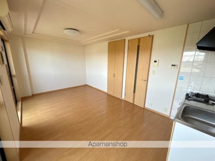 グランディール泰英２号館[1LDK/41.04m2]のリビング・居間3