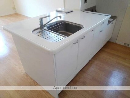 ＭＡＳＴＴＯＷＮ島内[2LDK/61.6m2]のキッチン