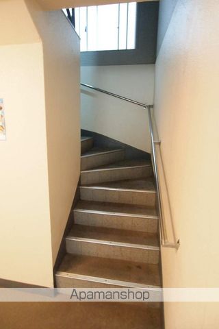 クリサンテームのその他写真