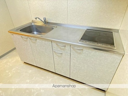 サンシャイン日之出[2LDK/59.65m2]のキッチン