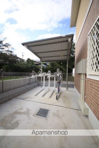 プリムローズのその他写真