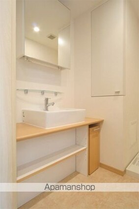レジディア三軒茶屋[1R/24.22m2]の洗面所
