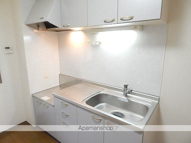 東京都東大和市蔵敷１丁目[2DK/44.71m2]のキッチン