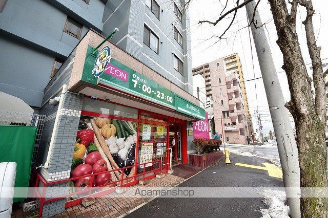 マストライフ南4条の周辺写真