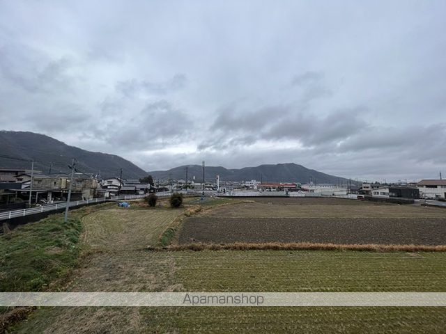 オリーブのその他写真