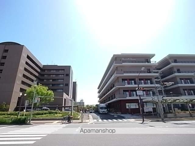 プリムローズの周辺写真