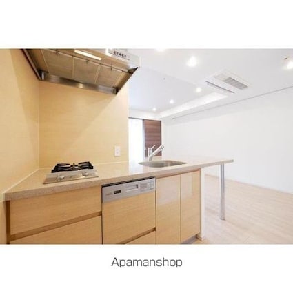 コンフォリア新宿イーストサイドタワー[1LDK/47.06m2]のキッチン