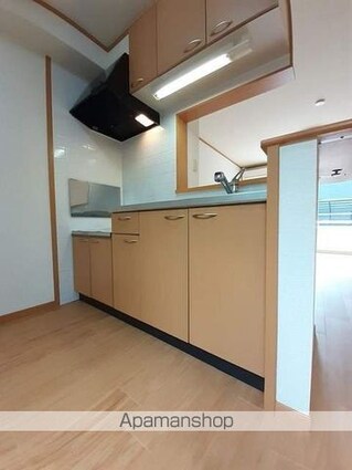 プラティーク南江戸[1R/33.5m2]のキッチン