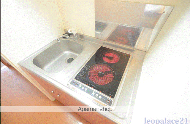 レオパレスラ　プランタン[1K/19.87m2]のキッチン