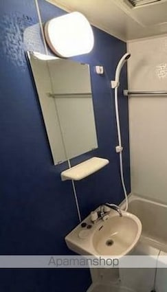 リーヴェルポート横浜ＷＥＳＴⅢ[1K/16.76m2]の洗面所