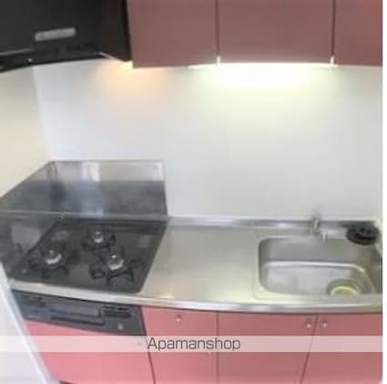 レオパレス高木[2DK/46.37m2]のキッチン