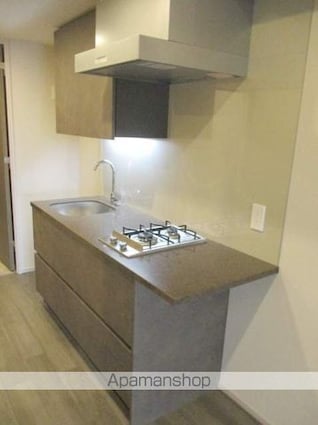 ザ・パークハビオ高円寺レジデンス[1LDK/40.63m2]のキッチン