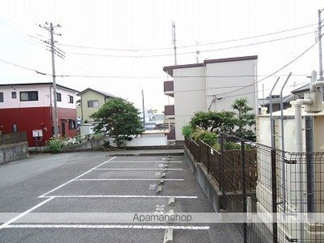 サンズ杉の木のその他写真