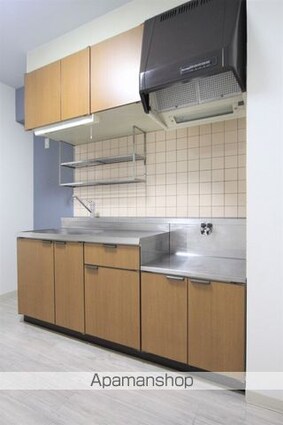 美沢レジデンス[1DK/29.16m2]のキッチン