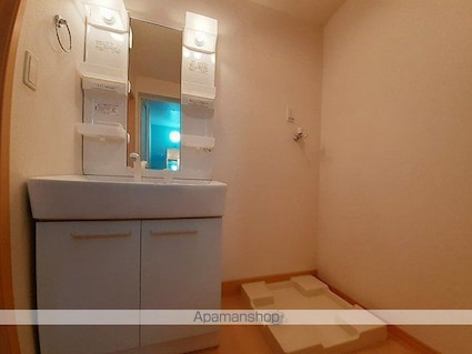 オーチャード　桐[2LDK/57.21m2]の洗面所