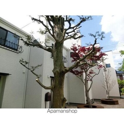 ＬＡ　ＵＬＵＷＥＨＩ[2LDK/53.79m2]のその他内装