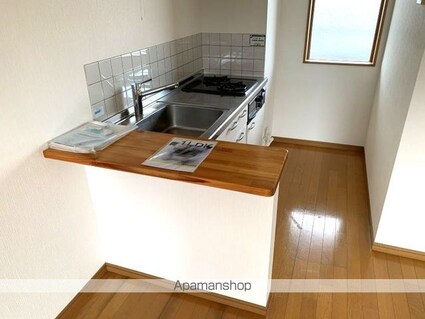 メゾンドＲＩＯ[1LDK/33.81m2]のキッチン