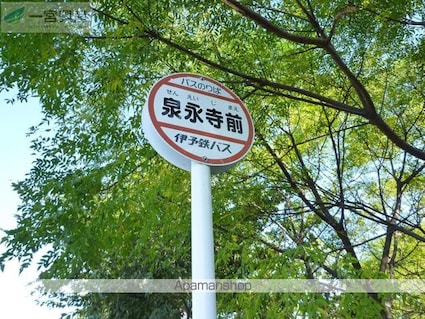 プラムガーデンＭａｒｙ[2LDK/51.66m2]の周辺4