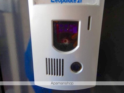 レオパレスシティー　パル[1K/23.18m2]のセキュリティ