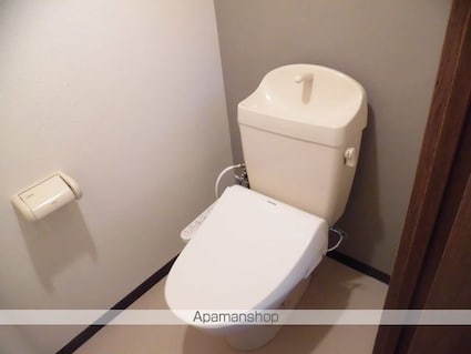 チェリーヒル[2DK/55.58m2]のトイレ