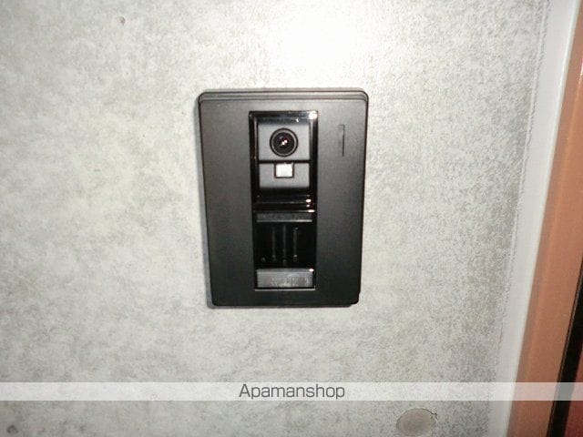ミストラルのその他写真