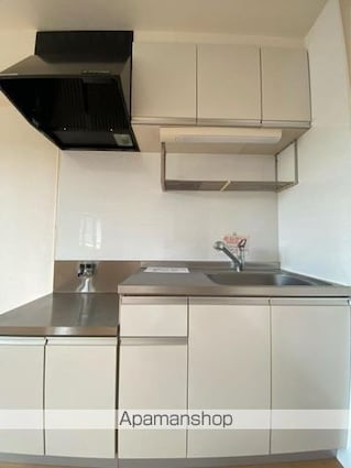 ニューエルディム裕Ⅱ[2LDK/66.27m2]のキッチン