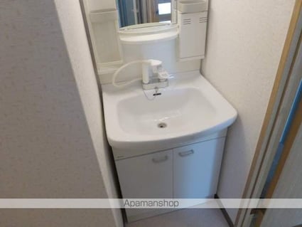 シャインローヤル[1DK/29.45m2]の洗面所