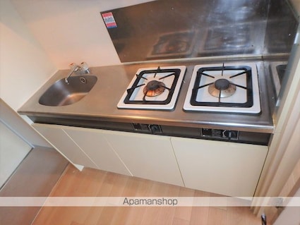 ラ・レジダンス・ド・グロワール[1K/24.3m2]のキッチン