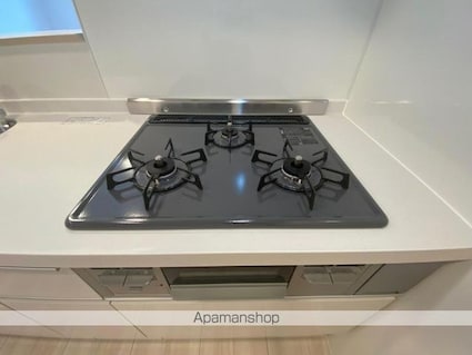 ユーフォリア　Ｃ棟[2LDK/53.77m2]の内装5