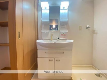 グラスハイツ盛兼Ｂ[2DK/43.86m2]の洗面所