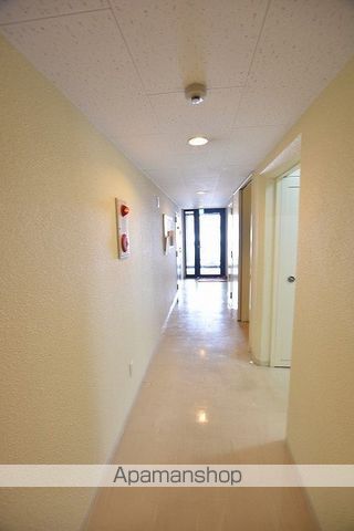 MS SORAのその他写真