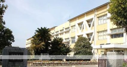 玉井ハイツ[3DK/71m2]の周辺7