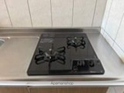 フランシーズ[1K/30.87m2]の内装8