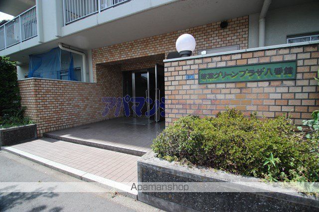 若葉グリーンプラザ八番館の外観写真