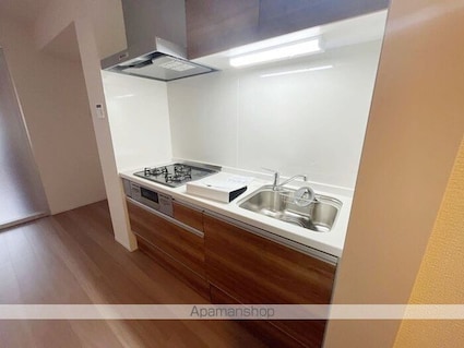 エクセリア上鷺宮Ⅱ[1LDK/36.65m2]のキッチン